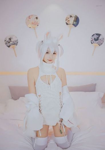 免费番肉动漫3d在线观看网站_DVD免费观看电视剧